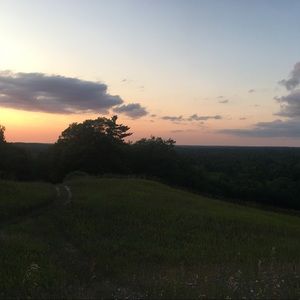 Meet your Posher, Molly